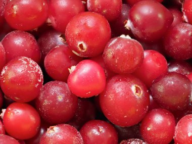 Donmuş kırmızı meyveler. Yabanmersini. Kapat. lezzetlerin makro fotoğrafçılığı          