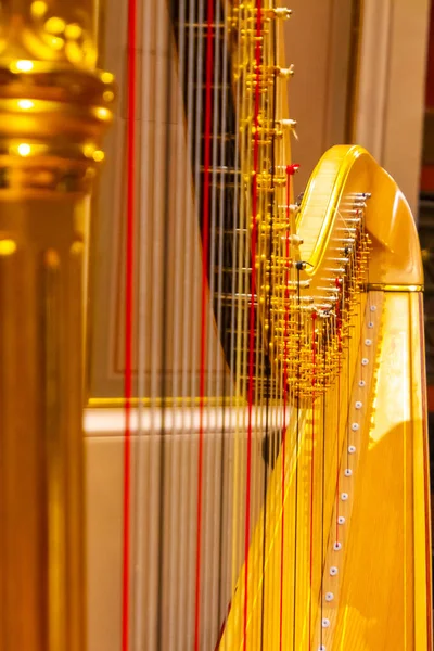 Красивые золотые арфийские струны. Музыкальные инструменты оркестра в филармонии . — стоковое фото