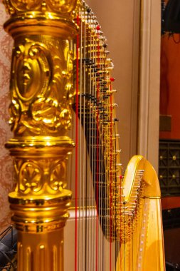 Güzel altın arp telleri kapanıyor. Filarmoni Orkestrası 'nın müzik aletleri.