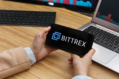 Bittrex Kripto Döviz Borsası. Akıllı Telefon Uygulaması Kullanan Kadın Tüccar Elleri. Crypto Arka plan Konsepti, San Francisco, California, Usa - 18.10.2019. Bir İllüstrasyon Editörü 