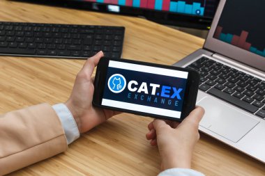 Kedi. Eski Kripto Döviz Borsası. Akıllı Telefon Uygulaması Kullanan Kadın Tüccar Elleri. Crypto Arka plan Konsepti, San Francisco, California, Usa - 18.10.2019. Bir İllüstrasyon Editörü I