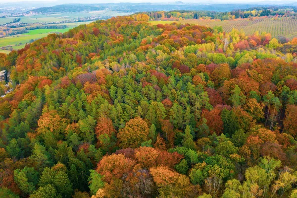 Automne arbres colorés au lever du soleil vue aérienne — Photo