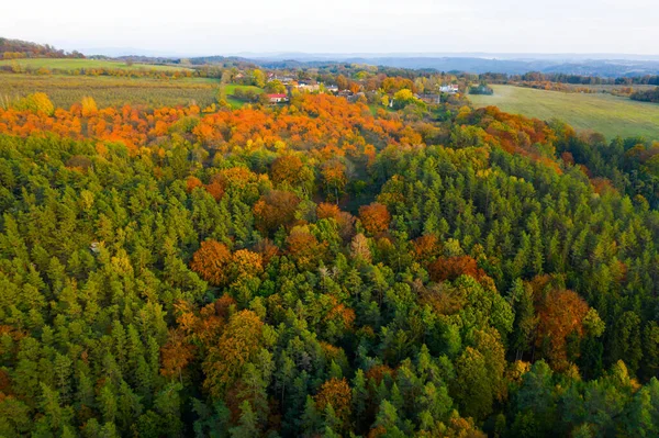 Sonbahar renkli ağaçlar gün doğumunda gökyüzü görüşünde — Stok fotoğraf