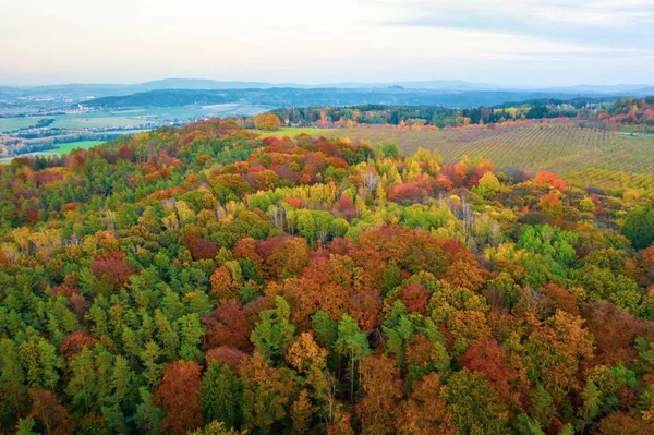 Automne arbres colorés au lever du soleil vue aérienne — Photo