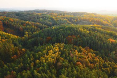 Sonbahar altın rengi orman günbatımında hava manzarası.