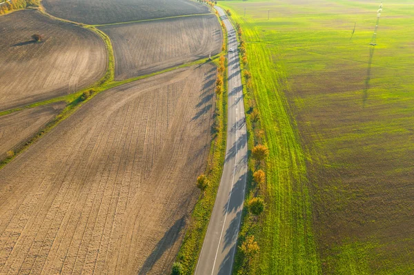 Camino entre el campo verde y el suelo cultivado con árboles amarillos al atardecer en otoño. Vista aérea sobre pista de aterrizaje o callejón de árboles. Concepto agrícola . —  Fotos de Stock