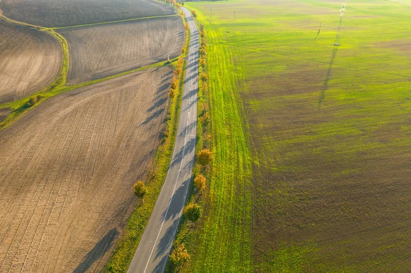 Road between green field and cultivated ground with yellow trees at sunset in autumn. Aerial view on speedway or trees alley. Agriculture concept. — Stock Photo, Image