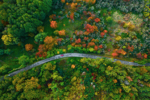 Stunning aerial view of road with cars between colorful autumn forest.