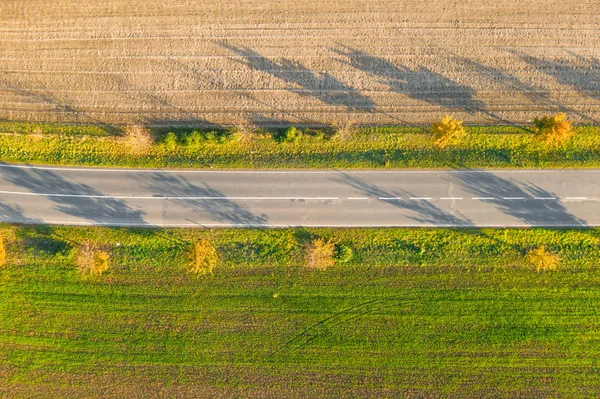 Út a zöld mező és a termesztett föld között sárga fákkal ősszel. Légi felvétel üres aszfaltpályáról vagy fasorról. — Stock Fotó