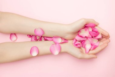 Kadın elleri pembe arka planda gül çiçeklerini tutuyor. İnce bir bilek ve doğal bir manikür. Hassas cilt bakımı için kozmetik ürünleri. Doğal kozmetik ürünleri, kırışıklık önleyici el bakımı.