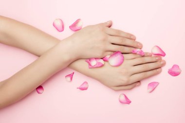 Kadın elleri pembe arka planda gül çiçeklerini tutuyor. İnce bir bilek ve doğal bir manikür. Hassas cilt bakımı için kozmetik ürünleri. Doğal kozmetik ürünleri, kırışıklık önleyici el bakımı.
