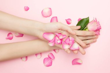 Uluslararası Kadınlar Günü ve Sevgililer Gününüz kutlu olsun, Anneler Günü konsepti. Kadın elleri pembe arka planda gül çiçeklerini tutuyor. İnce bir bilek ve doğal manikür..