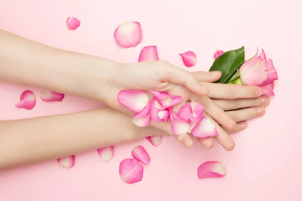 International Womans day and Happy Valentines, Mothers day concept. The woman hands hold rose flowers on a pink background. A thin wrist and natural manicure.
