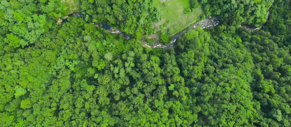 Floresta verde e rio fluindo, vista aérea. Textura da floresta verde — Fotografia de Stock