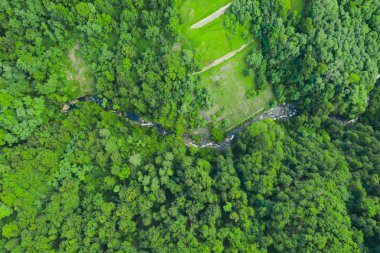 Yeşil orman ve akan nehir, hava manzarası. Yeşil ormanın dokusu