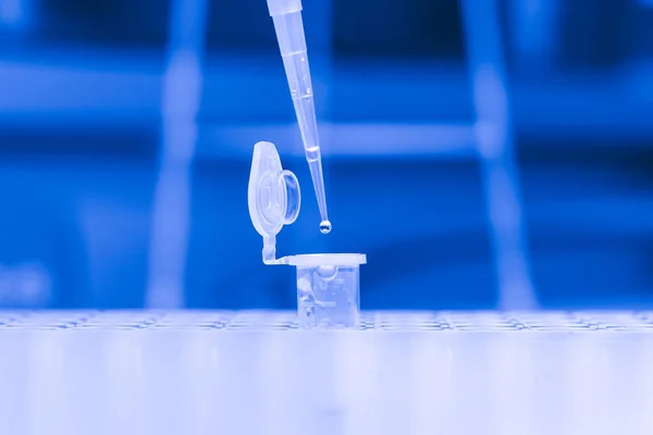 Synthesis of new vaccine or medicine against coronavirus. Clinical laboratory in process of chemical analysis. Collection of probe using automatic pipette. — 스톡 사진