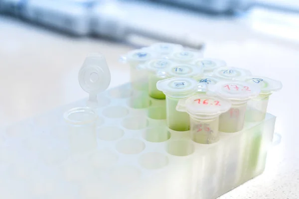 Microtube rack on the working surface in the scientific laboratory. Chemical equipment are on the white background. Clinical concept illustration. — 스톡 사진