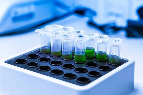 Green substance in microtube is put in thermo shaker. DNA experiment in biochemical laboratory. Synthesis of new vaccine or medicine against coronavirus. — 스톡 사진