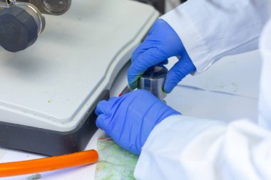 Titreşim değirmeni kullanılarak numunenin hazırlanması. Mavi eldivenli kadın eldiveni sarsıcı elek değirmeninden sonra yeşil toz örneği tutuyor.