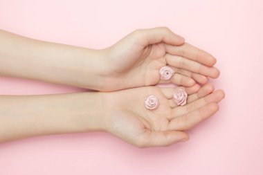 Kadın elleri pembe arka planda gül çiçeklerini tutuyor. İnce bir bilek ve doğal bir manikür. Hassas cilt bakımı için kozmetik ürünleri. Doğal kozmetik ürünleri, kırışıklık önleyici el bakımı.