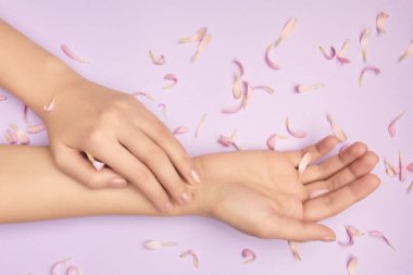 Bir çiçeğin pembe yaprakları narin kadınlarda elleri menekşe arkaplanda. Güzellik salonu reklamı kavramı. Mathers Gününe Hediye Sertifikası