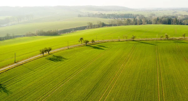 Groene Landbouwgrond Buurt Van Snelweg Weg Met Bergen Achtergrond Panoramisch — Stockfoto