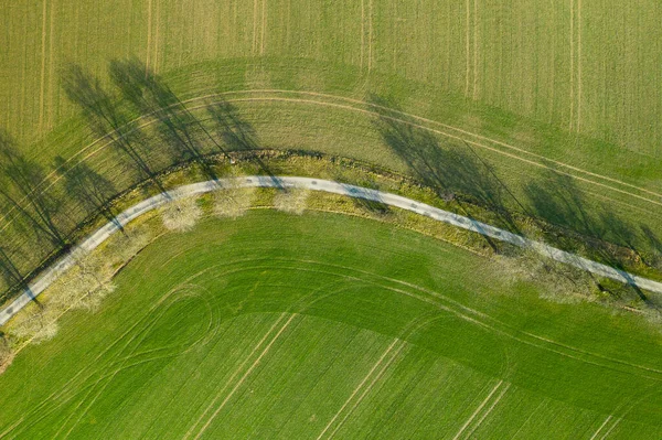 Flygfoto Asfalterad Väg Separerade Två Odlade Fält Ovanifrån Motorväg Mellan — Stockfoto