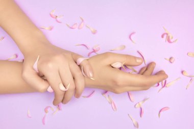 Bir çiçeğin pembe yaprakları narin kadınlarda elleri menekşe arkaplanda. Güzellik salonu reklamı kavramı.