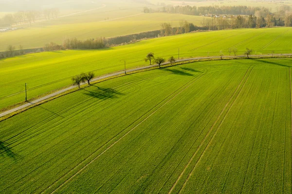 Luchtfoto Een Veld Met Groen Gras Weinig Bomen Langs Een — Stockfoto