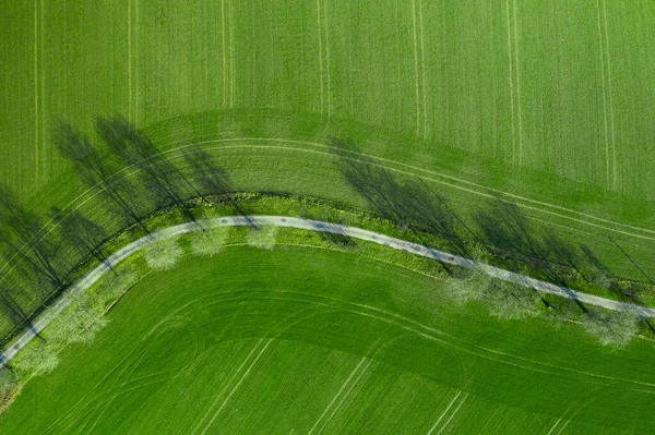 柏油路上的空中景观把两块耕地隔开了 农民土地之间高速公路的俯瞰 — 图库照片