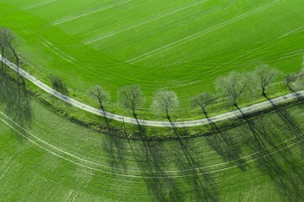 Luchtfoto Een Asfaltweg Scheidde Twee Akkers Top Uitzicht Een Snelweg — Stockfoto