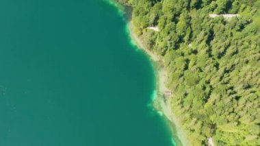 Almanya, Bavyera, Schwansee 'ye doğru turkuaz suyla Alpsee Gölü' nün kıyısına uç.