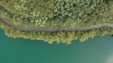 Hareket halindeki arabaların olduğu bir yol manzarası. Orman ve Göl arasında hava manzarası. Gel. Çam ağacından geçen araba yeşil suya yakın..