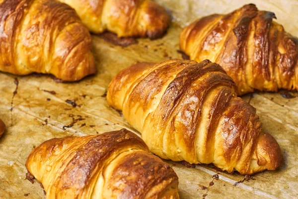 Delicious buttery croissants removed from the oven on a baking sheet. Concept of homemade pastry. Italian or french traditional breakfast — Stock Photo, Image