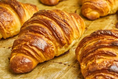 Pasta tepsisinde çikolatalı poğaça kruvasanı. Ev yapımı yemek. Uluslararası mutfak kavramı. 