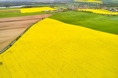 Kırsal bir yol ile ayrılmış sarı kolza tohumu, yeşil ve kahverengi tarlalar. Kopya alanı ile doğal ve tarımsal doku