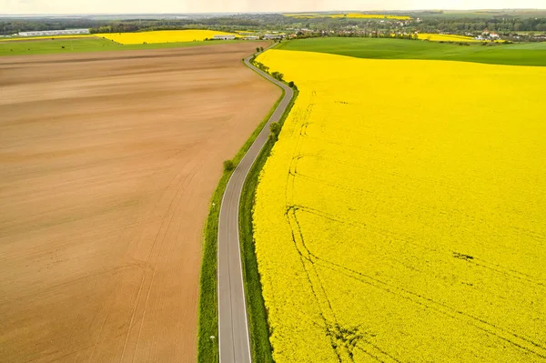 수확꾼 이남기고 간 무늬가 있는 빈터와 노란 유채 들판을 분리 해 놓은 시골 도로. 봄에 있는 농경지의 맨 위 모습. — 스톡 사진