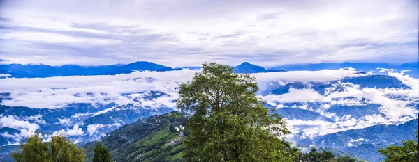 Bu, Darjeeling bölgesindeki bir köyün manzara fotoğrafı. Bu yağmurlu mevsimde Darjeeling 'in doğa manzarası ve havası harika..