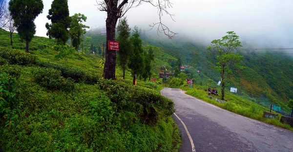 Darjeeling Západní Bengálsko Indie Září 2019 Krásné Happy Valley Tea — Stock fotografie