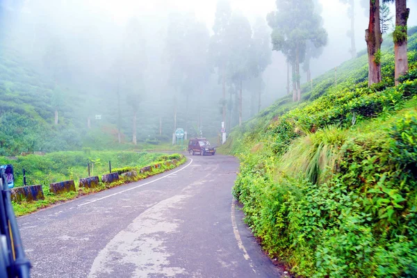 Darjeeling West Bengal India September 2019 Beautiful Happy Valley Tea — Stock Photo, Image