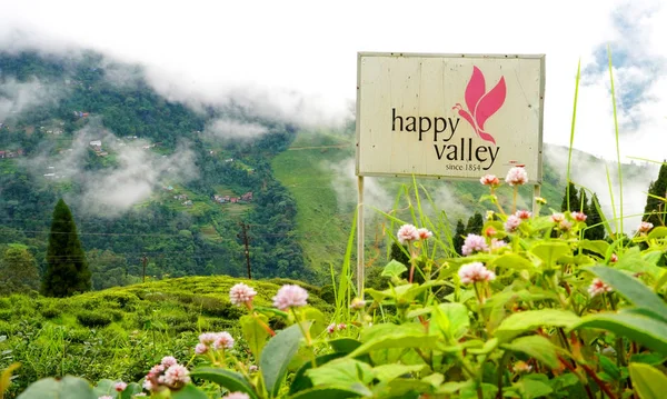 Darjeeling Bengala Occidentale India Settembre 2019 Bella Foglia Happy Valley — Foto Stock