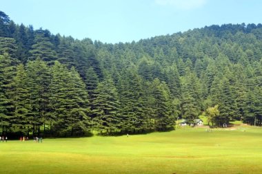 Hindistan 'ın Mini İsviçre' si, Hindistan 'ın kuzeyindeki Himachal Pradesh eyaletinde küçük bir tepe istasyonudur..