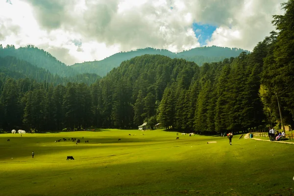 Khajjiar, "Mini Szwajcaria Indii", jak to się często nazywa, jest małą stacją górską w północno-indyjskim stanie Himachal Pradesh.. — Zdjęcie stockowe