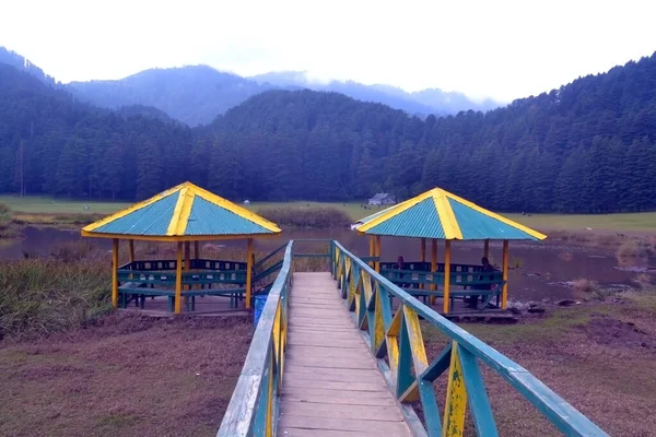 Khajjiar, la "Mini Suisse de l'Inde", comme on l'appelle souvent, est une petite station de montagne dans l'État de l'Himachal Pradesh, au nord de l'Inde. . — Photo