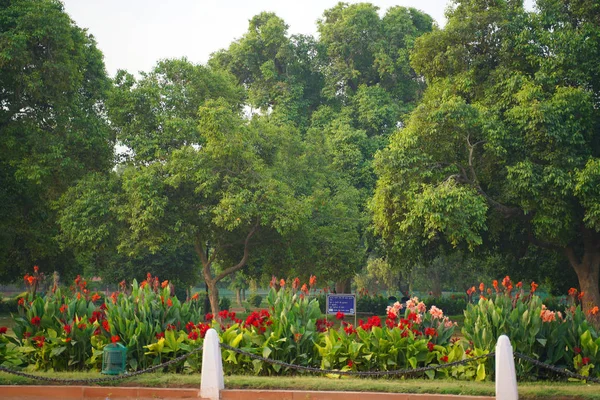 Indah Bunga Mekar Taman — Stok Foto