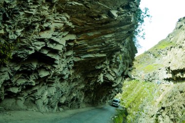 Himalaya dağlarında yürüyüş yapan Yeşil Peyzaj Ormanı, Himachel Pradesh, Hindistan