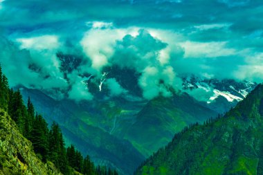 Himalaya dağlarında yürüyüş yapan Yeşil Peyzaj Ormanı, Himachel Pradesh, Hindistan