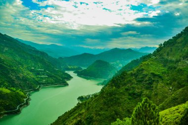 Himalaya dağlarında yürüyüş yapan Yeşil Peyzaj Ormanı, Himachel Pradesh, Hindistan