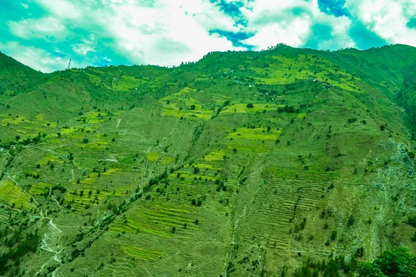Bosque Verde Del Paisaje Una Caminata Las Montañas Del Himalaya — Foto de Stock