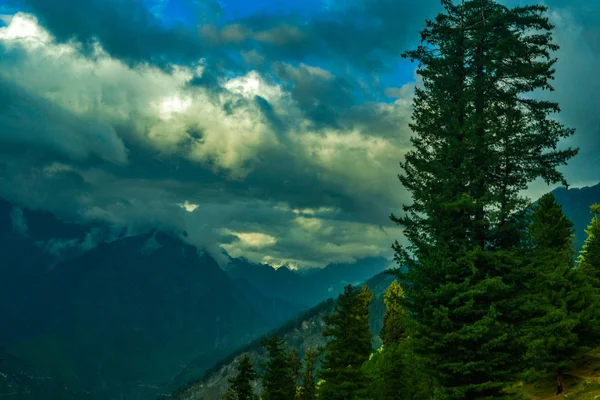 Himalaya dağlarında yürüyüş yapan Yeşil Peyzaj Ormanı, Himachel Pradesh, Hindistan